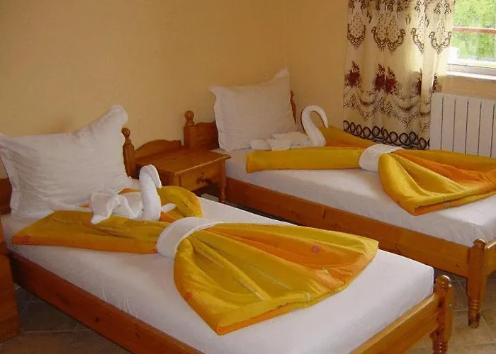 Хотел вива бийч